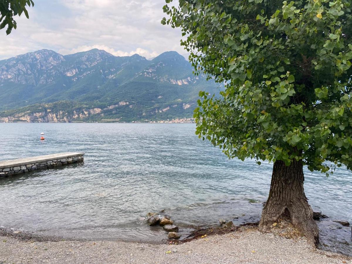 Al Cottage Oliveto Lario Exterior photo